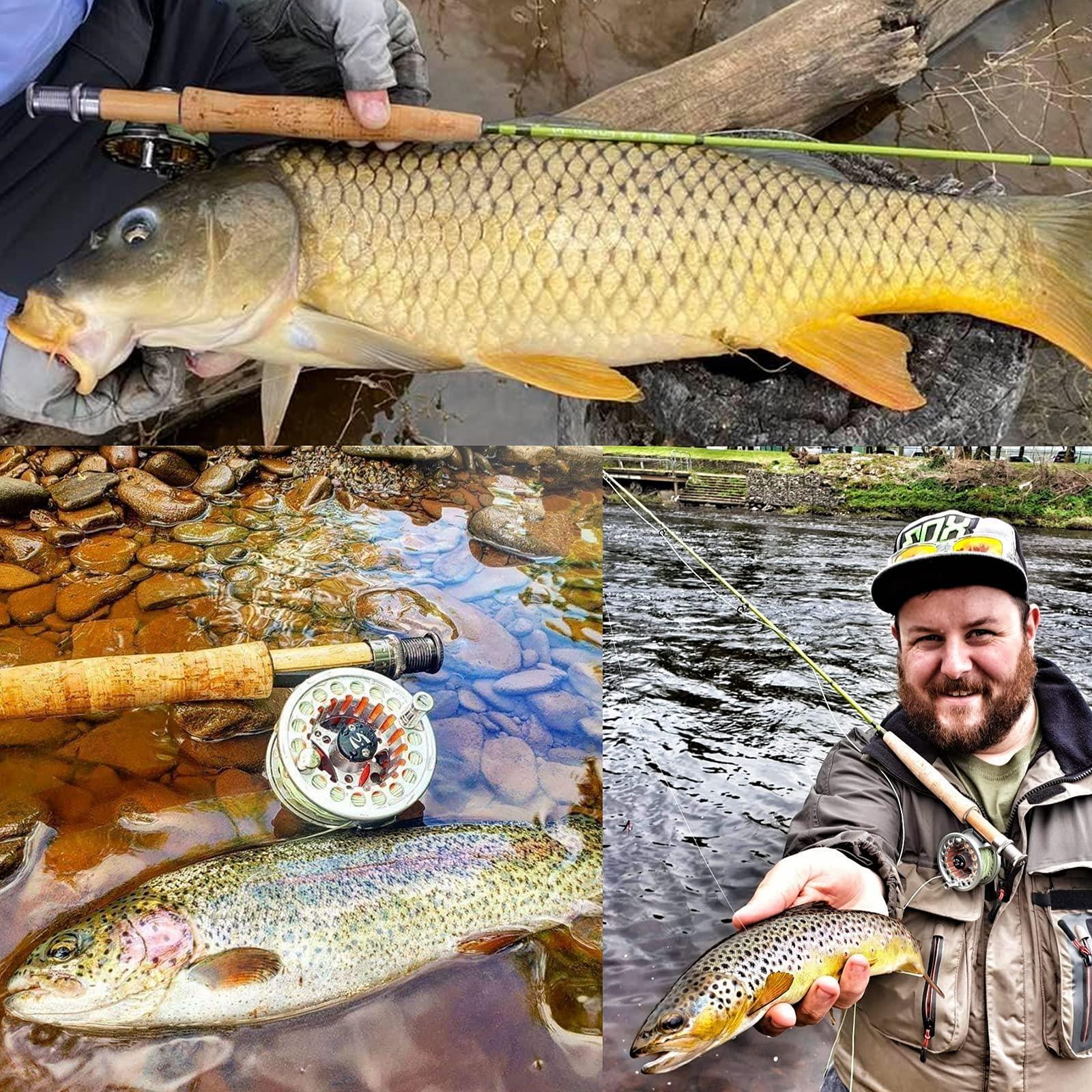 Maxcatch Design Ultra Light Mountain Stream Fly Rod for 1/2/3 to Wait for Carbo