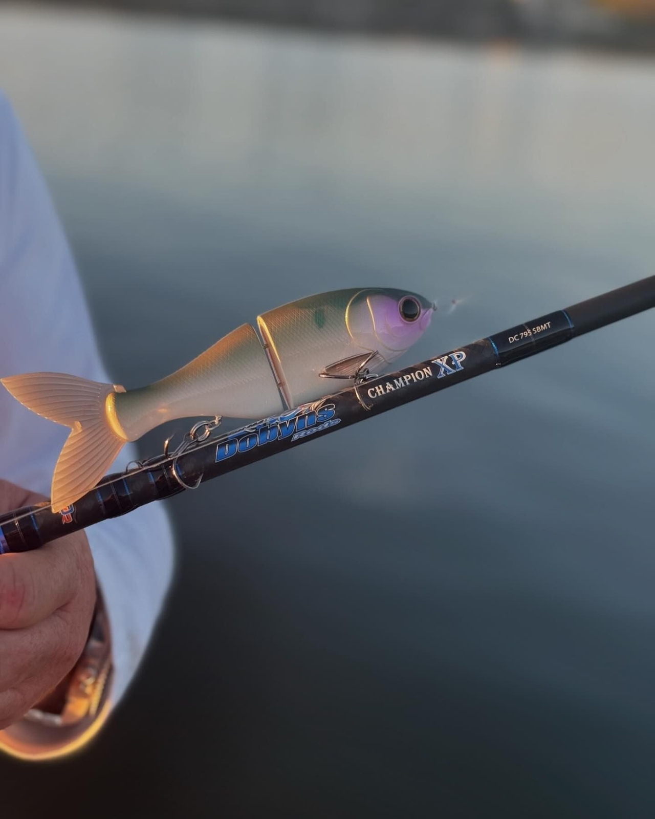Dobyns Champion XP Series Casting Rod