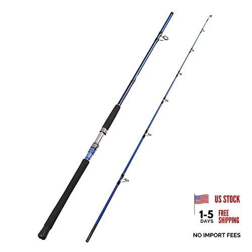 2-Piece Saltwater Spinning Fishing Rod Offshore Graphite Portable Fishing Rod