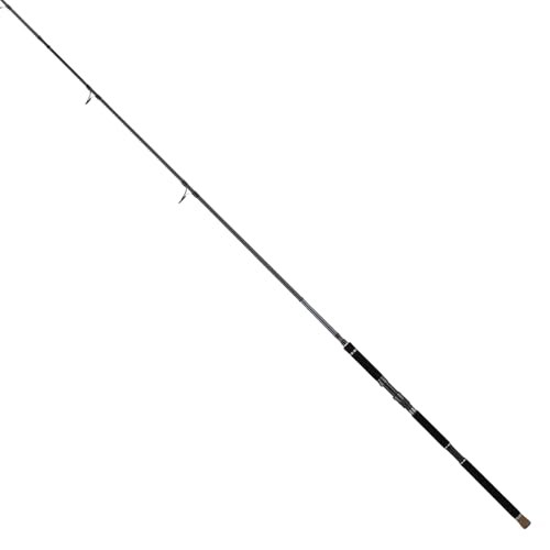 Tailwalk KEISON Sea Blows S114H Spinning Rod