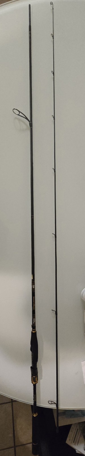 Daiwa Morethan Branzino EX AGS 94LML Fishing Rod Black Gold 30 grams