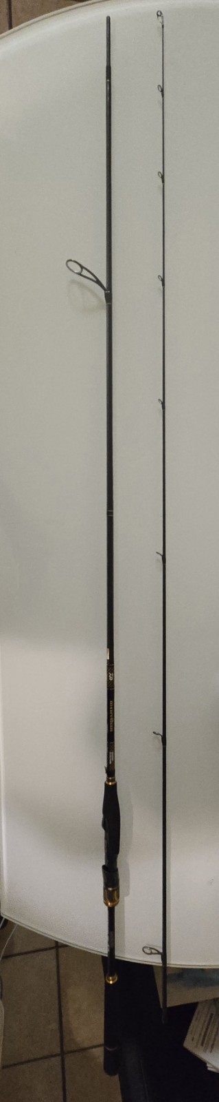 Daiwa Morethan Branzino EX AGS 94LML Fishing Rod Black Gold 30 grams