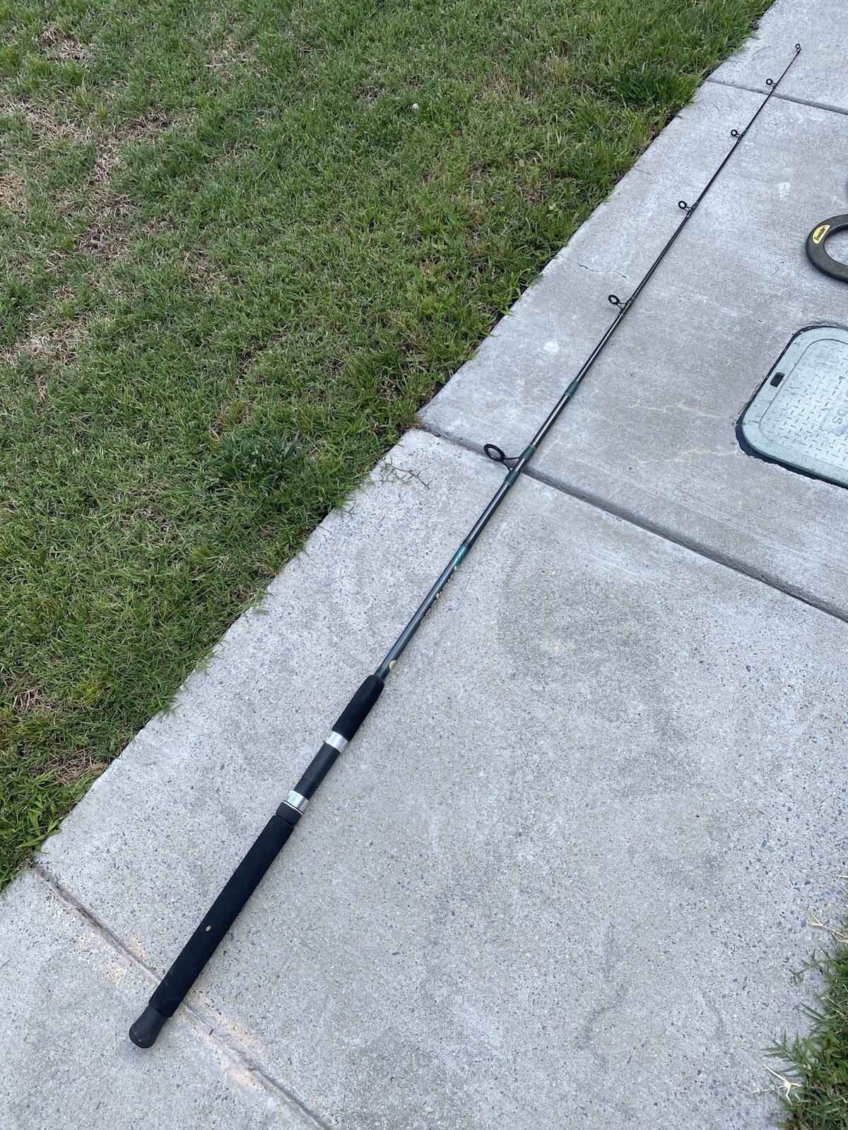 Calypso Seahawk Fishing Rod for Unisex Adults – Green & Black