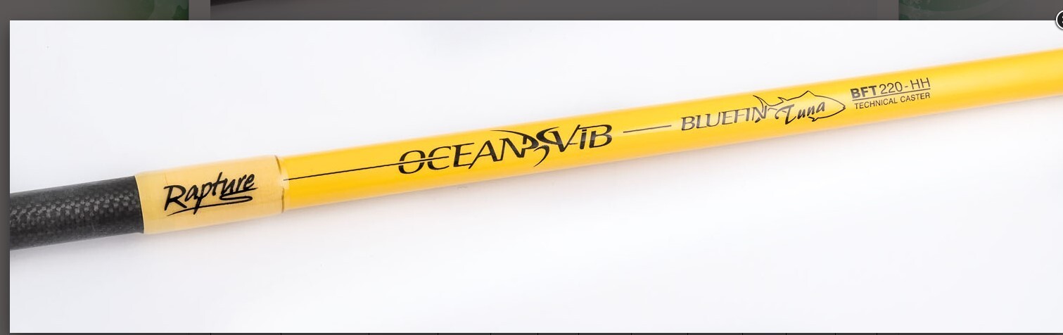 Rapture Ocean VIB Tuna Popping rod 2.44m 170g 8ft PE 3-6 Fuji fittings