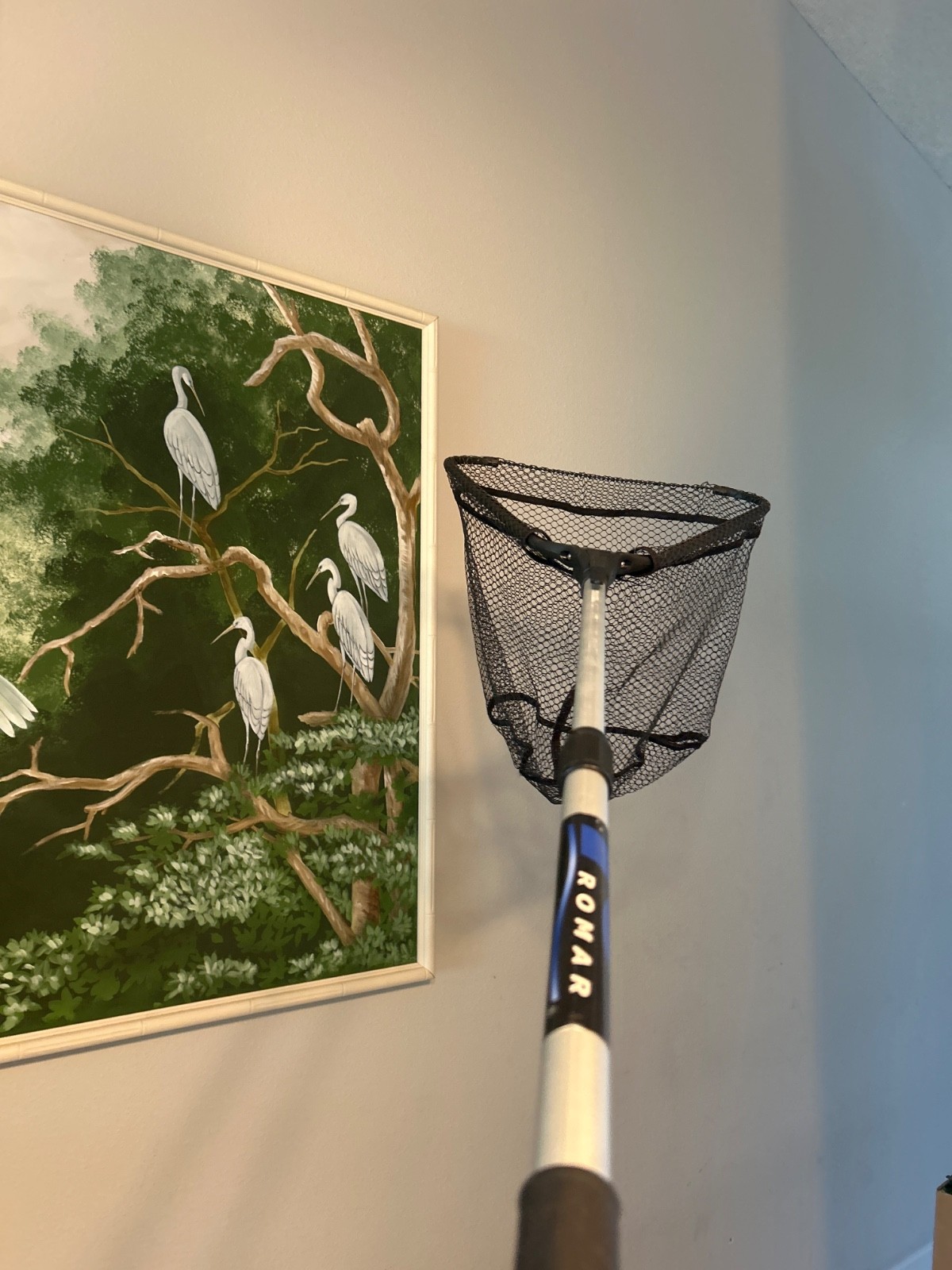 Trophy Series Collapsible Landing Nets Size 16″x16″