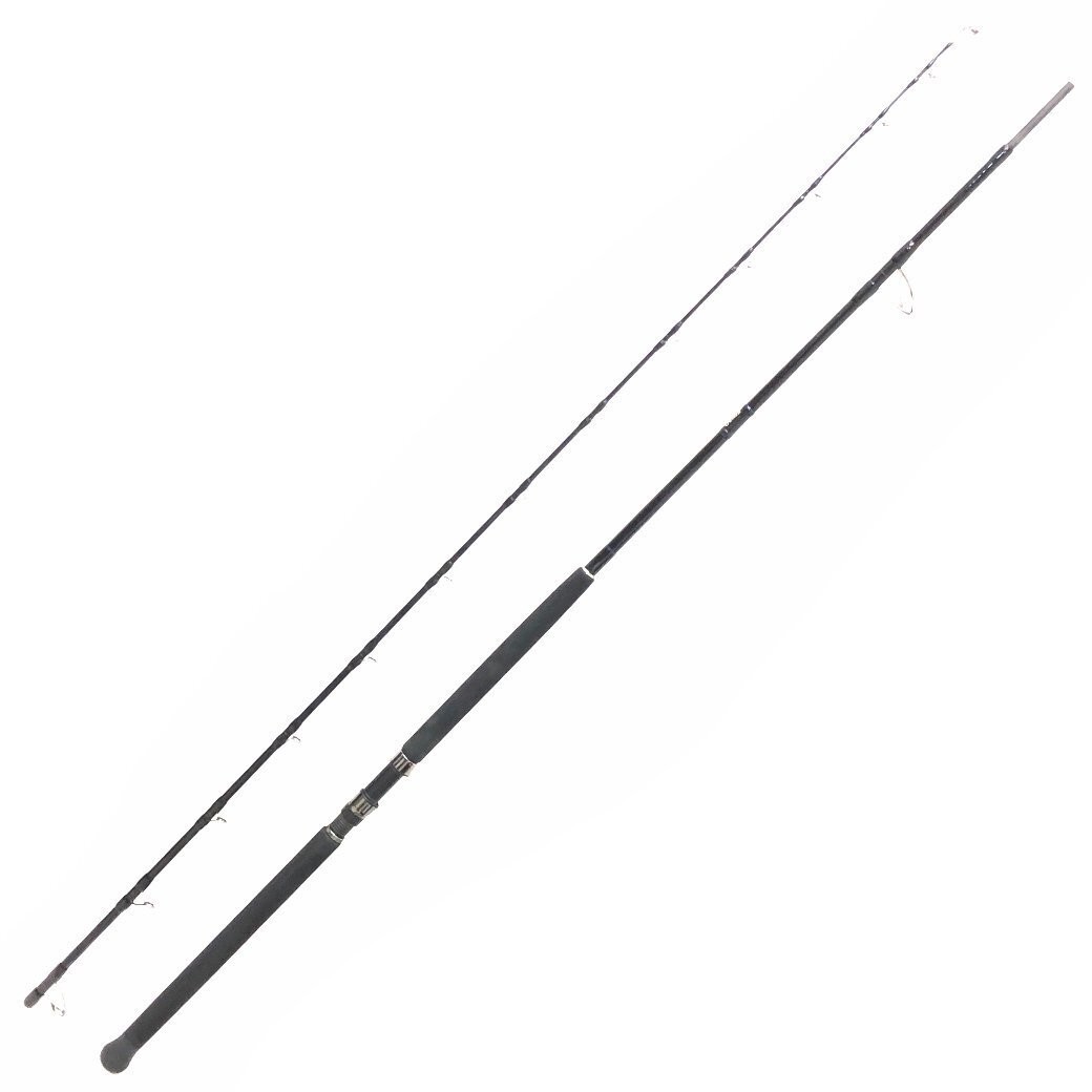 Zenaq Defi Muthos Accura 100H Lure Rod 2-Piece Spinning Rod