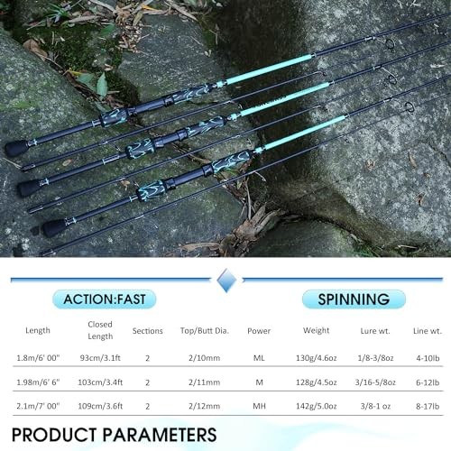 IM6 Graphite Fishing Pole – Spinning Rod & Casting Rod – High Performance