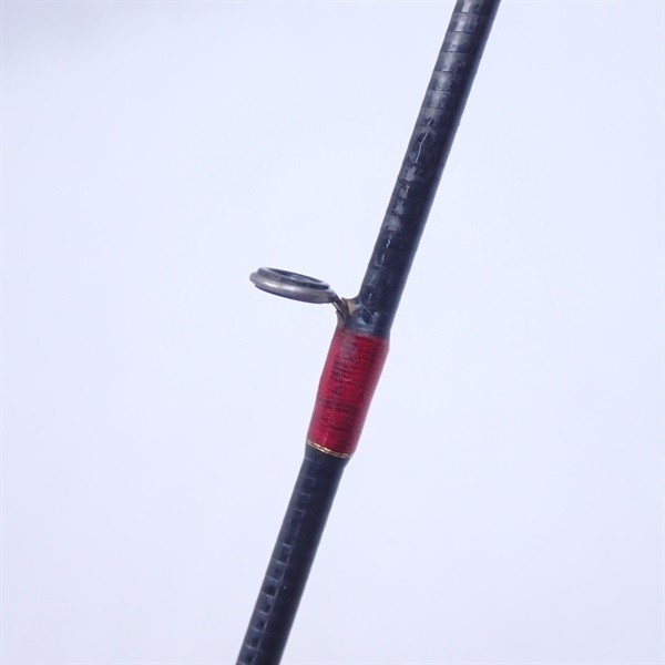 Fenwick. Golden Wing TEGTW66CMLJ Cond/C-