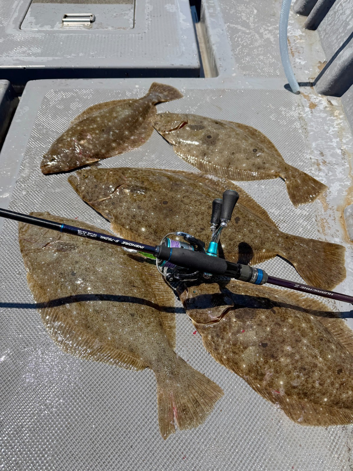 NS BLACKHOLE HURRICANE X INSHORE FISHING FOR SPINNING REEL
