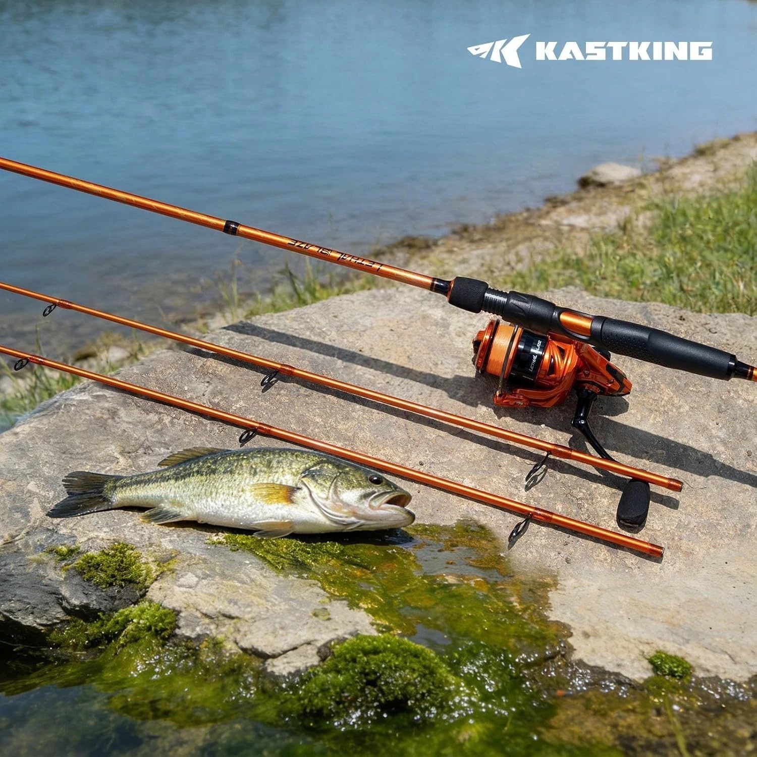 Lethal Blaze Twin-Tip Fishing Rods, IM6 Graphite Blanks Casting & Spinning Ro…