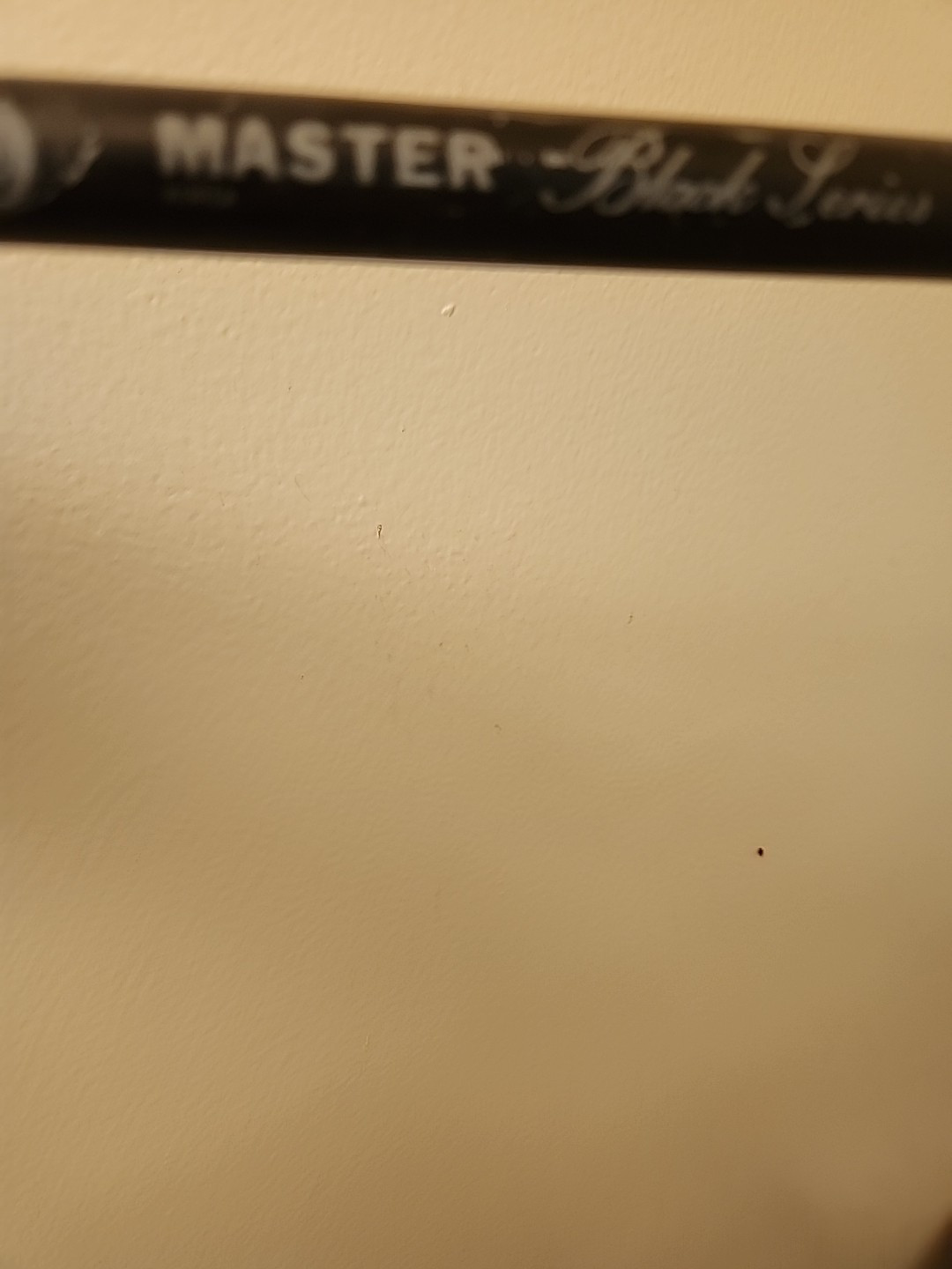 Master Model 5200 Black Graphite Spinning Rod 2 Piece Big Game Fishing Pole