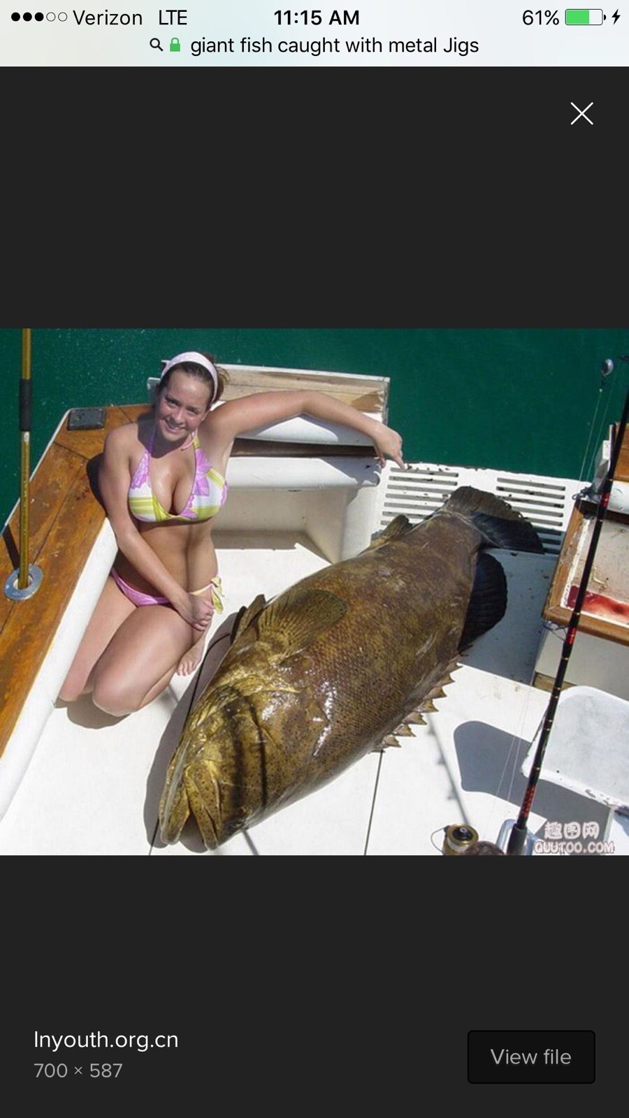 9ft. Jig Stick Conventional 50-100lb. CASTING MONSTER 🔥 BIG FISH ROD