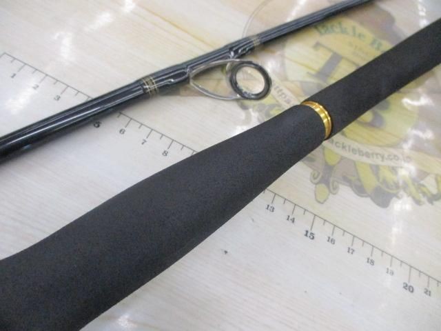 Daiwa Morethan MT98MHX Saltwater Rod Shore Used