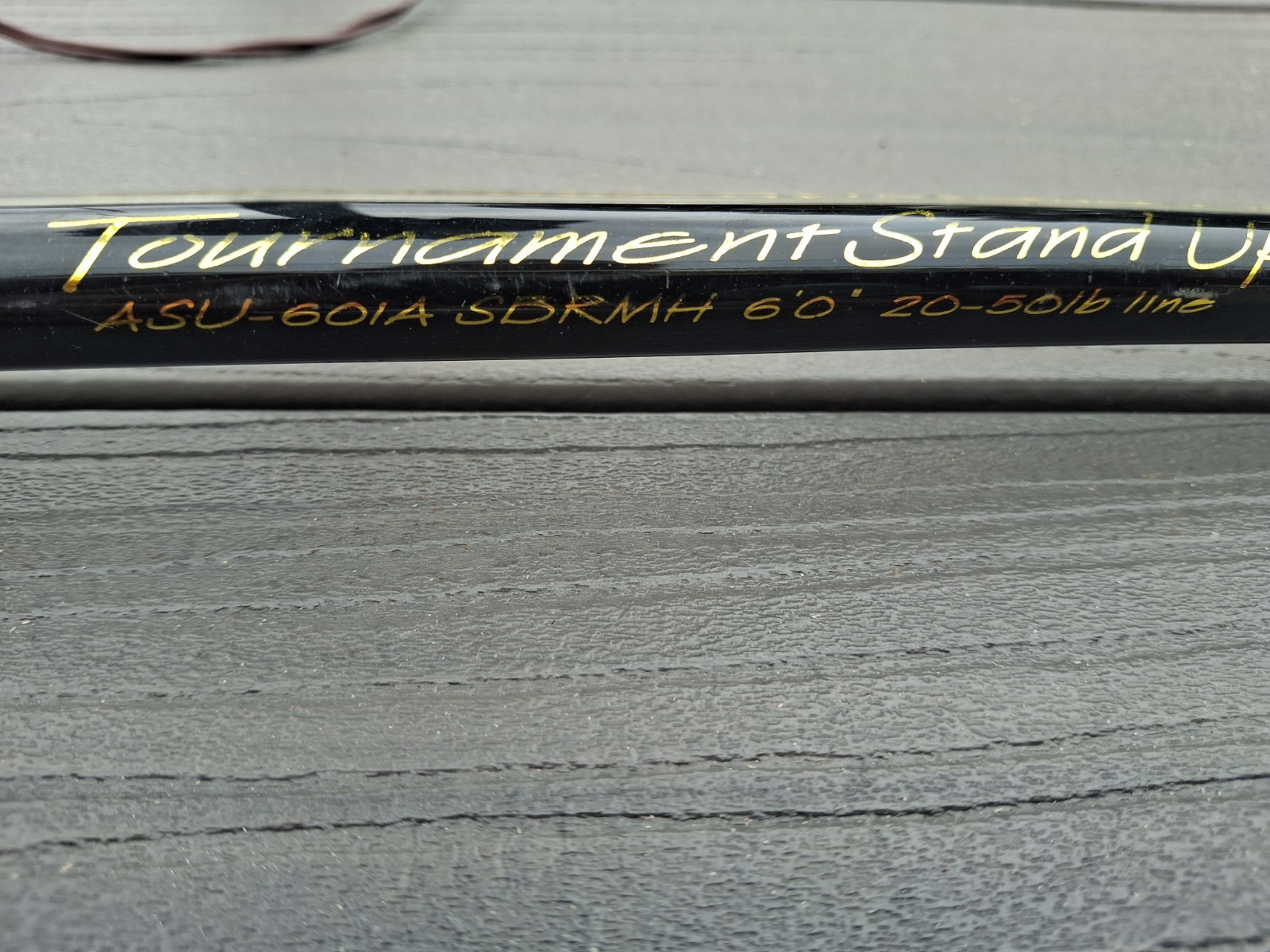 ANDE STAND UP 6′ 20 TO 50lb RATED FISHING ROD W/INTERNATIONAL PENN 30 REEL