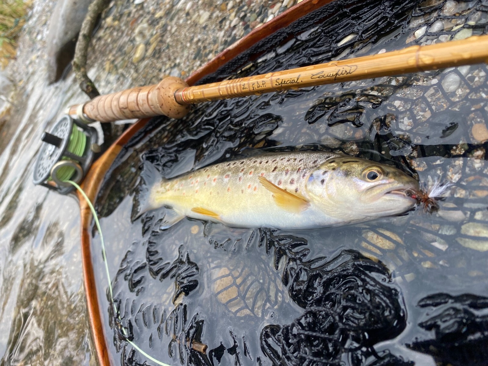 Fly Rod bamboo type L.G.D.P. Speciale 7’9” linea 4#5 .(2TIP)