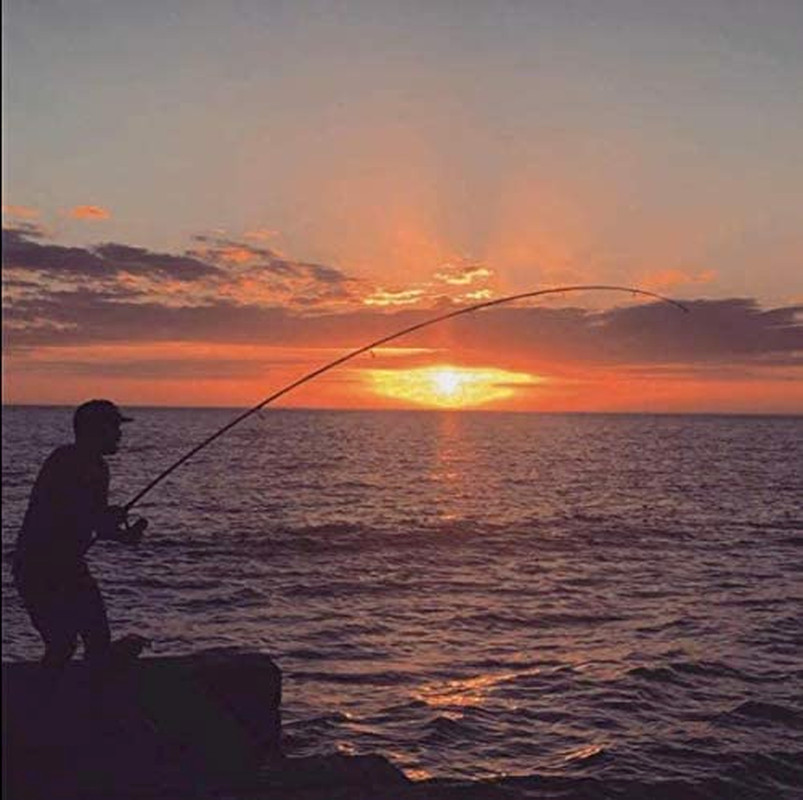 Surf Spinning Fishing Rod 4-Piece Graphite Travel Fishing Pole 9ft 10ft 12ft New