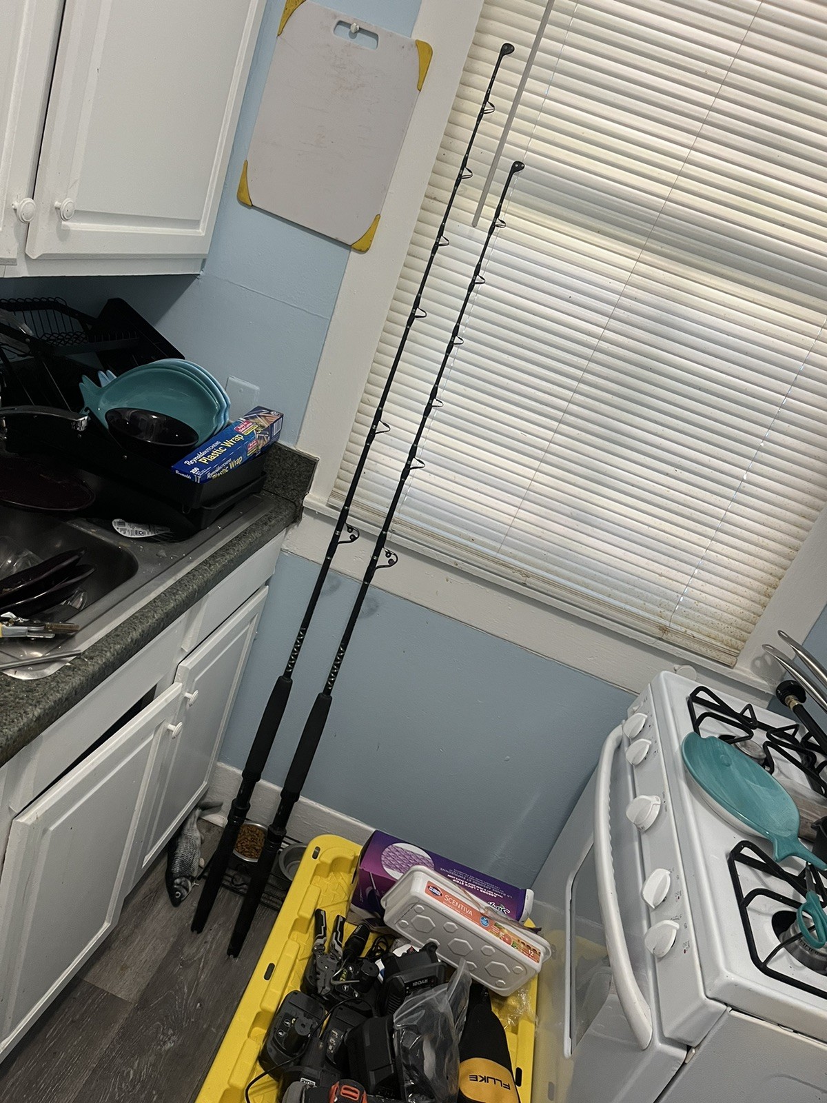 G73 Lot Of 2 Cabelas Salt Striker Rods CSS SU4010 Graphite 5’6” & 6’ Ea 1 Piece