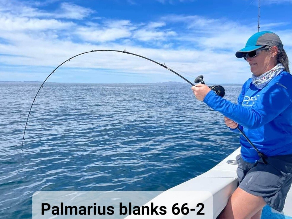 Palmarius P 66-3 200g to 400g ● 7 oz to 12 oz ● EVA ● SiC Torzite ● Acid Wrap