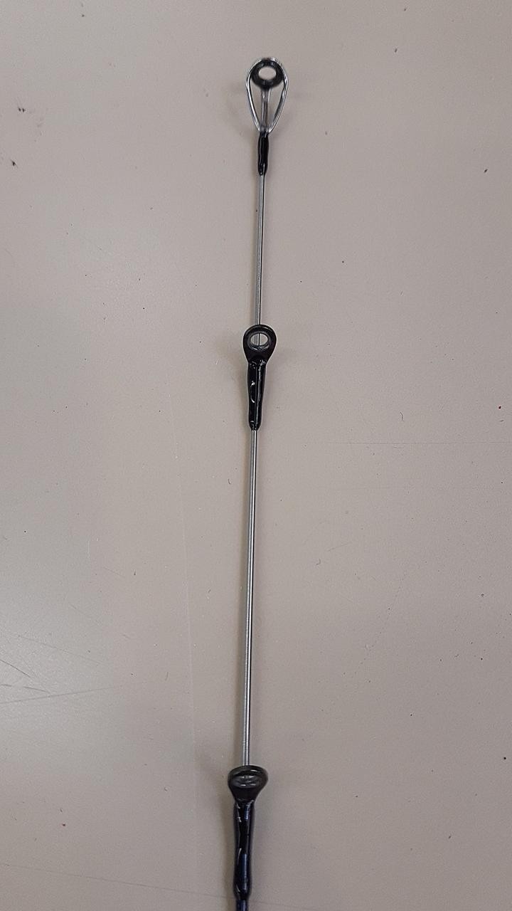 Daiwa Eging Rod 88in/8ft8in, 90g, 2-piece, with case, Fishing Equipment