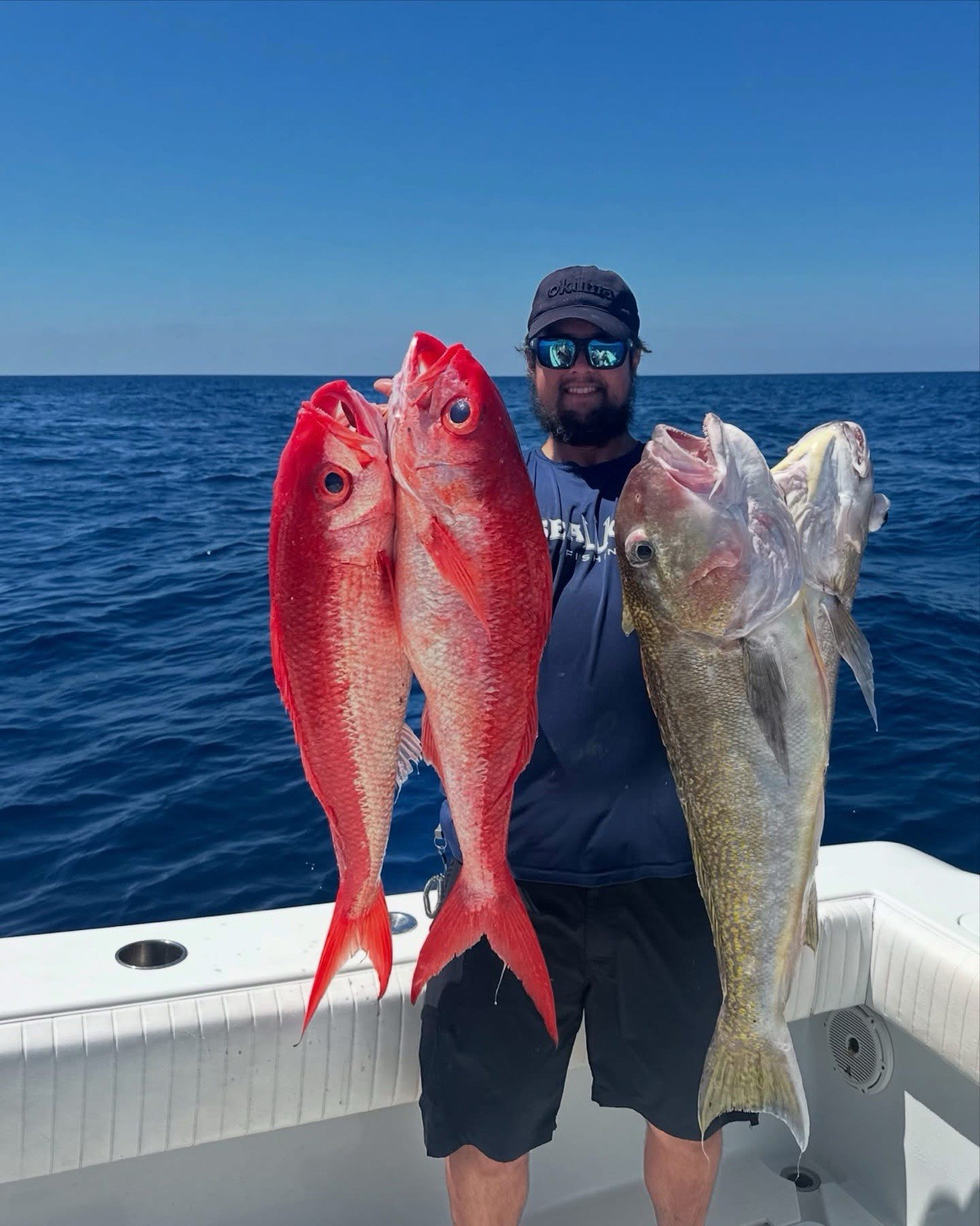 2025 Palmarius P Series Gen 2 Slow Pitch Jigging Rods