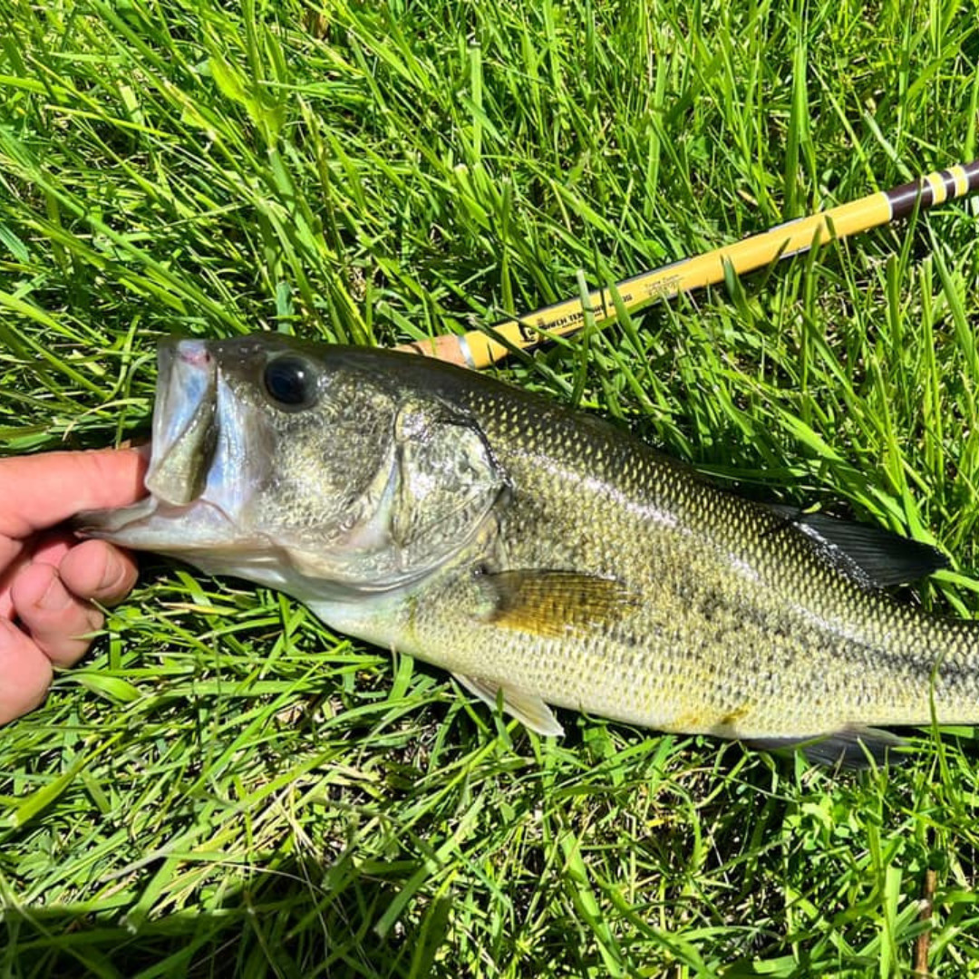 Wasatch Hankyu Middle Fork 9′-12′ Tenkara Rod Carbon Fiber w/ Rod Tube 6.6 oz