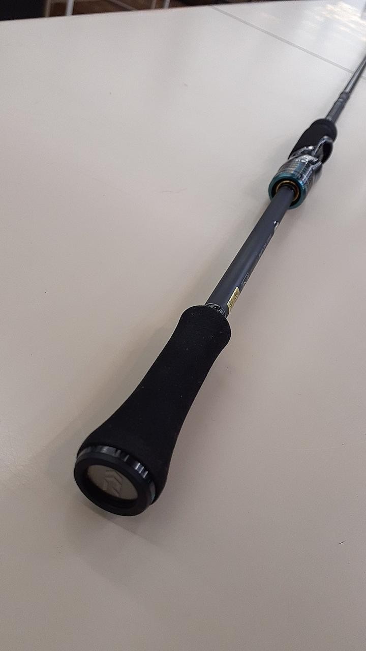 Daiwa Eging Rod 88in/8ft8in, 90g, 2-piece, with case, Fishing Equipment