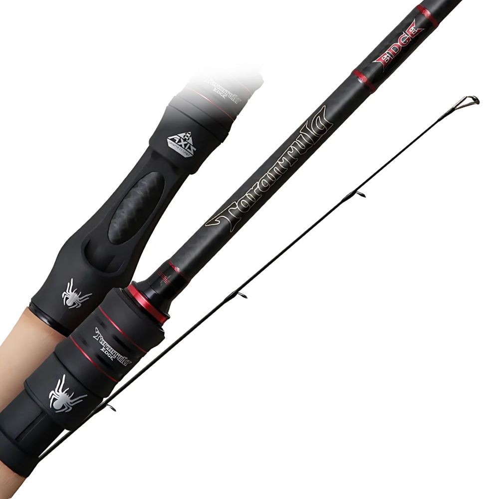 NS BLACK HOLE Hi Performance Finesse Spinning Rod TARANTULA EDGE TES-672 ML