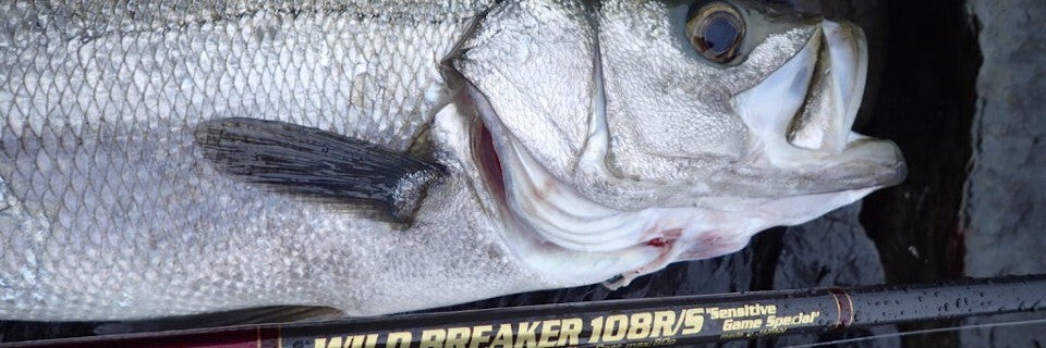 MC Works 2022 Wild Breaker 108RS Sensitive Game Special