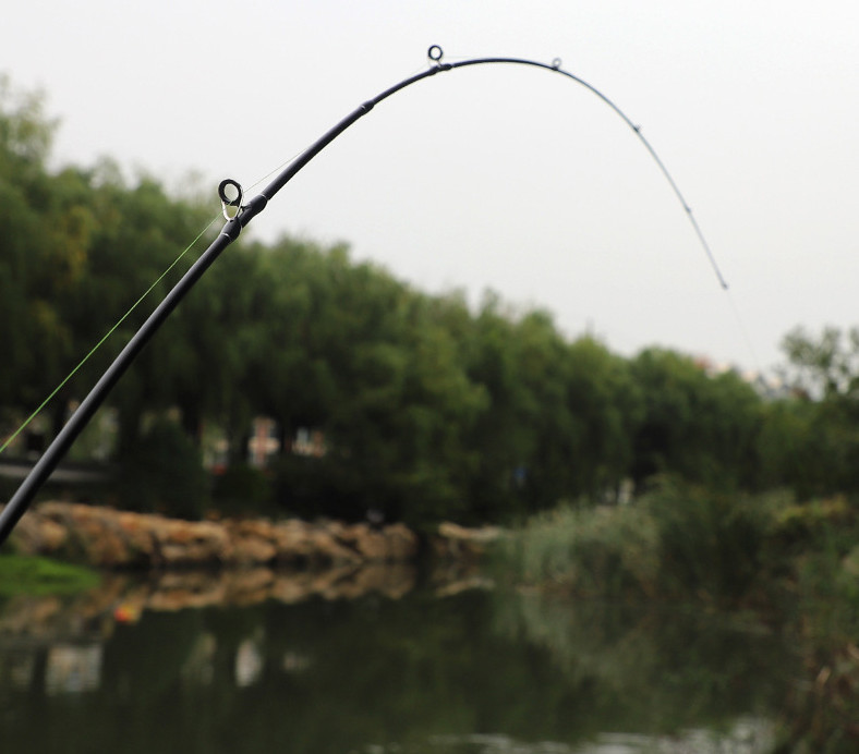 5.51FT/5.91FT Fishing Rod 2 Sections Rod Carbon Fiber Spinning Casting Pole Bass