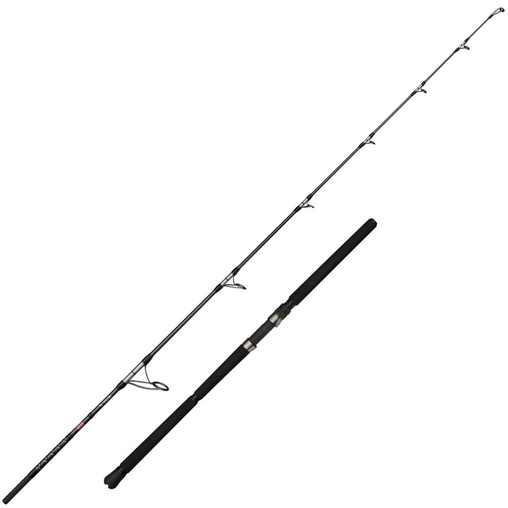 PENN Offshore Casting Rod ALLY II POPPING 2.49m/20-150g