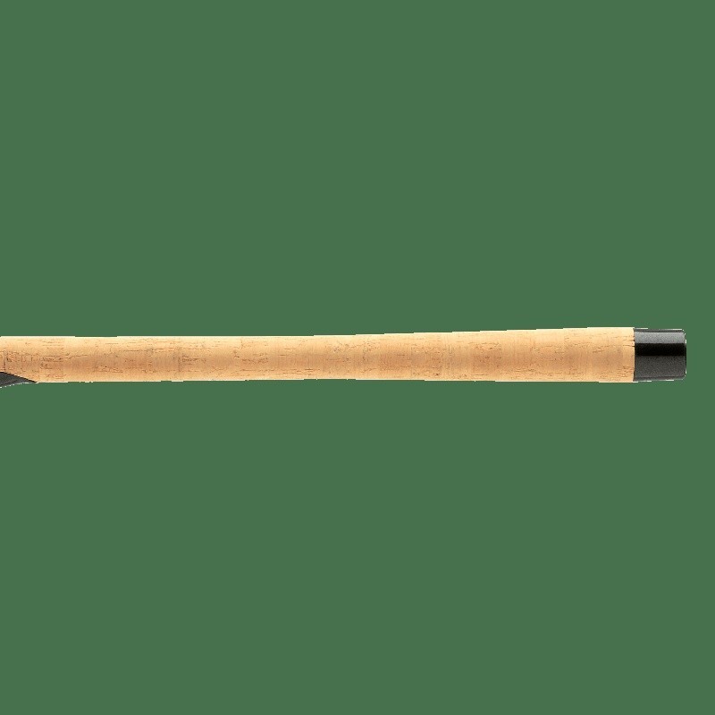 Durable Lightweight Salmon Steelhead Fishing Rod 2-Piece Titanium Oxide Guides