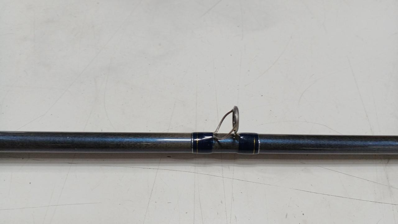 Fenwick TECBNA GP 74CXHJ bass rod